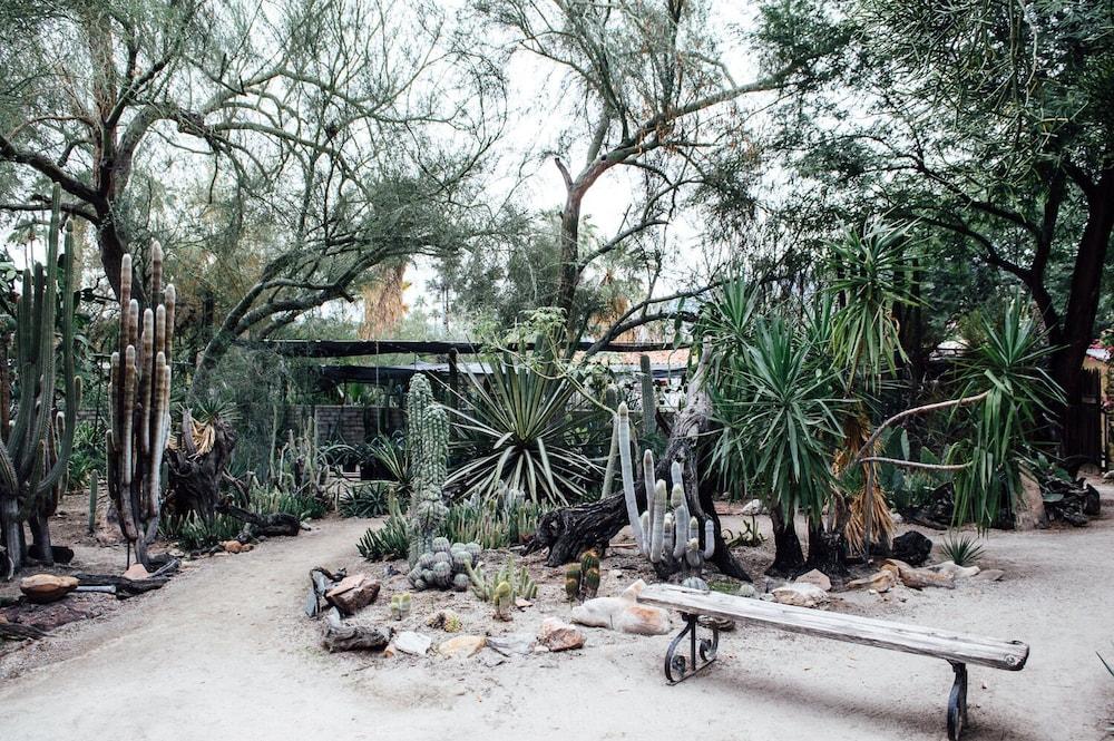 Desert Lodge Palm Springs Esterno foto