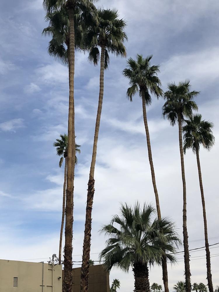 Desert Lodge Palm Springs Esterno foto