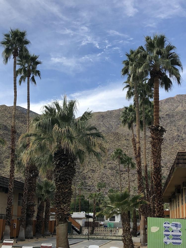 Desert Lodge Palm Springs Esterno foto